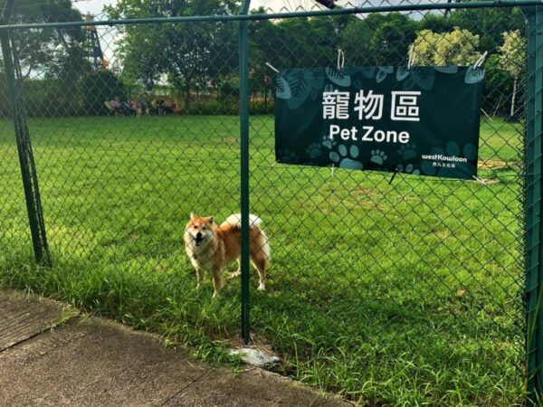 Public Pet Gardens in Hong Kong